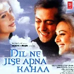 Dil Ne Jise Apna Kaha (2004)