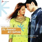 Dil Pardesi Ho Gaya (2003)