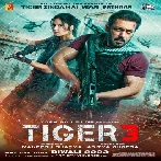 Tiger 3 (2023)
