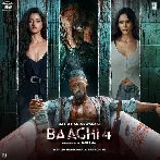 Baaghi 4 (2025)