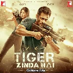 Tiger Zinda Hai (2017)
