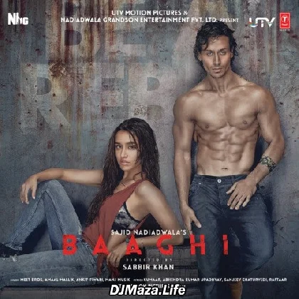 Baaghi (2016)