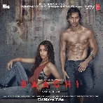 Baaghi (2016)