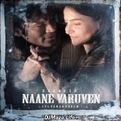 Nene Vasthunna (2022)