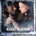 Nene Vasthunna (2022)