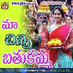 Chinni Ma Bathukamma (2019)