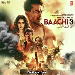 Baaghi 3 (2020)