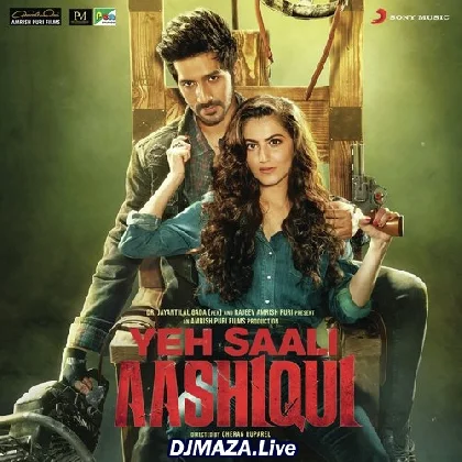 Yeh Saali Aashiqui (2019)