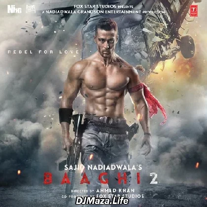 Baaghi 2 (2018)