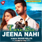 Tere Bin Jeena Nahi (Hindi) - Shahid Mallya