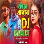 Kacha Badam Dj Remix Viral Song