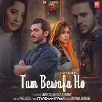 Tum Bewafa Ho - Stebin Ben