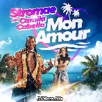 Mon Amour - Stromae