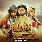 Habibi - Mohd Danish