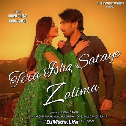 Tera Ishq Sataye Zalima - Harmaan Nazim