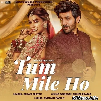 Tum Mile Ho - Prince Pratap