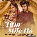 Tum Mile Ho - Prince Pratap