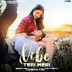 Vibe Teri Meri - Ashwani Machal