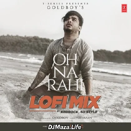 Oh Na Rahi Lofi Mix - Kedrock SD Style