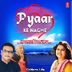 Pyaar Ke Nagme - Sadhana Sargam