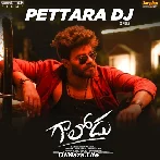 Pettara DJ - Gaalodu