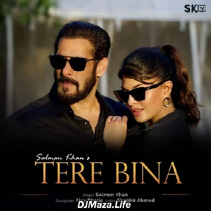 Tere Bina - Salman Khan