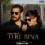 Tere Bina - Salman Khan