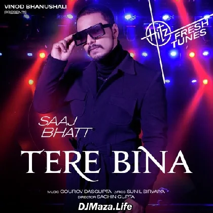 Tere Bina - Saaj Bhatt