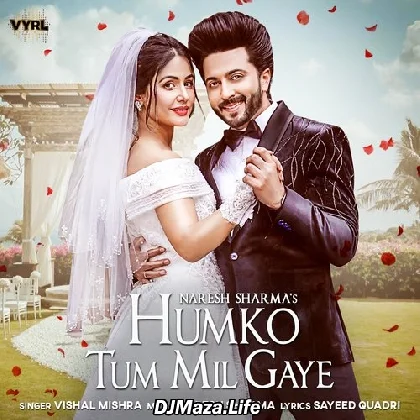 Humko Tum Mil Gaye - Vishal Mishra