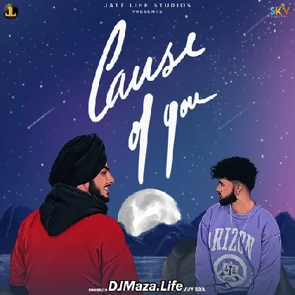 Cause Of You - Zehr Vibe