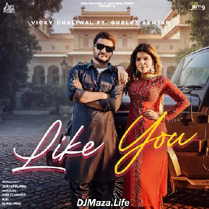 Like You - Vicky Dhaliwal