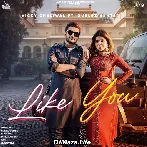 Like You - Vicky Dhaliwal
