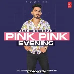 Pink Pink Evening - Jassi Chhokar