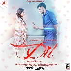 Dil - Ninja