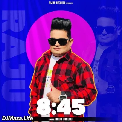 8:45 - Raju Punjabi
