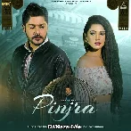 Pinjra - Yasser Desai