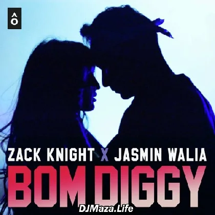 Bom Diggy - Zack Knight