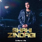 Shahi Zindagi - Sagar Pop