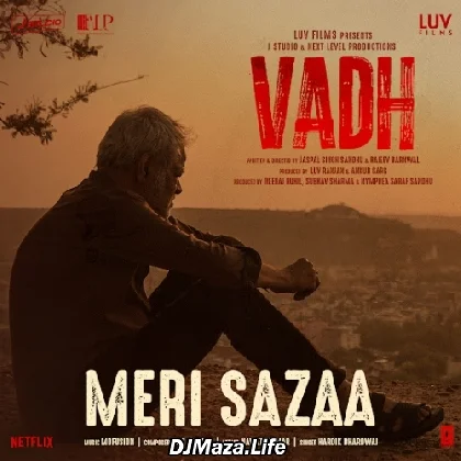 Meri Sazaa - Vadh