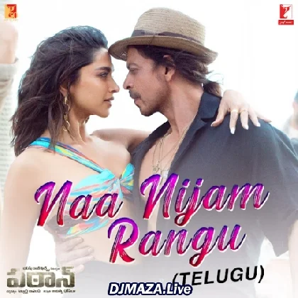 Na Nijam Rangu - Pathaan