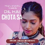 Dil Hai Chota Sa