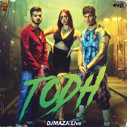 Todh - Prince Narula