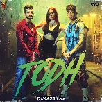 Todh - Prince Narula