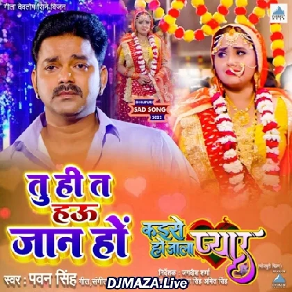 Tu Hi Tai Hau Jaan Ho - Pawan Singh