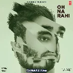 Roi Na Je Yaad Meri Aayi Ve