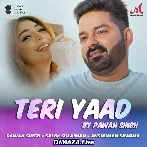 Teri Yaad - Pawan Singh