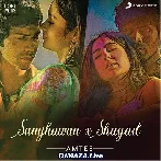Shayad X Samjhawan - Lofi Flip