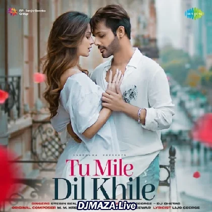 Tu Mile Dil Khile - Stebin Ben