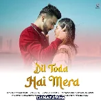 Dil Toda Hai Mera - Akbar Khan