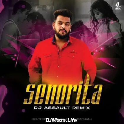Senorita (Remix) - DJ Assault